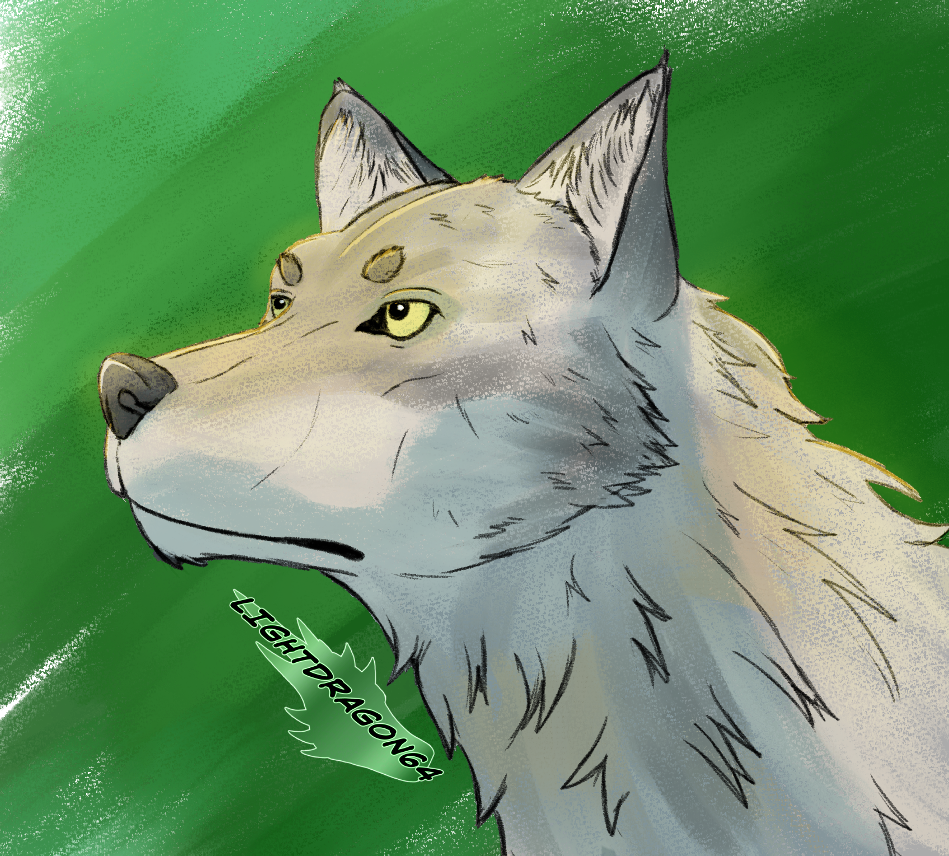 Wolf color study